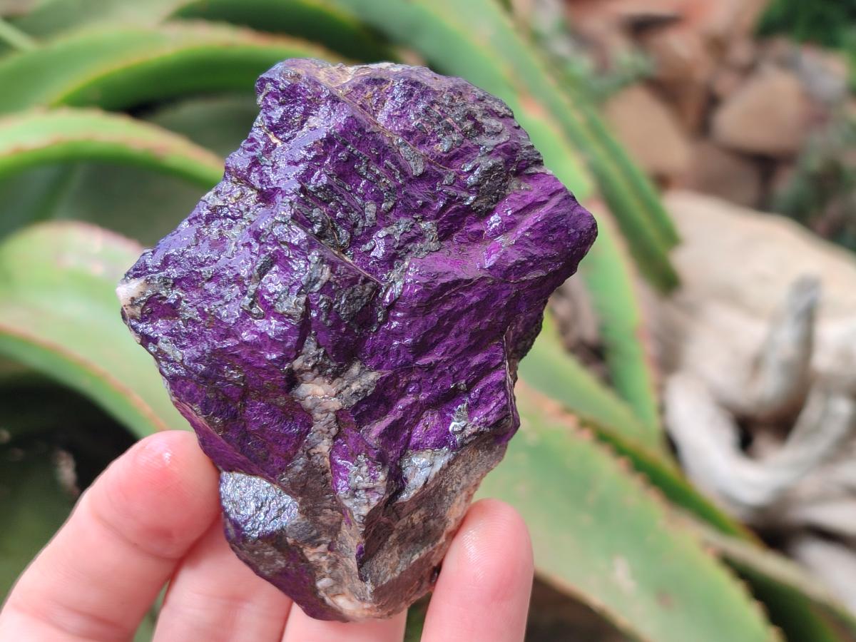 Natural Metallic Purpurite Specimens x 6 From Erongo, Namibia
