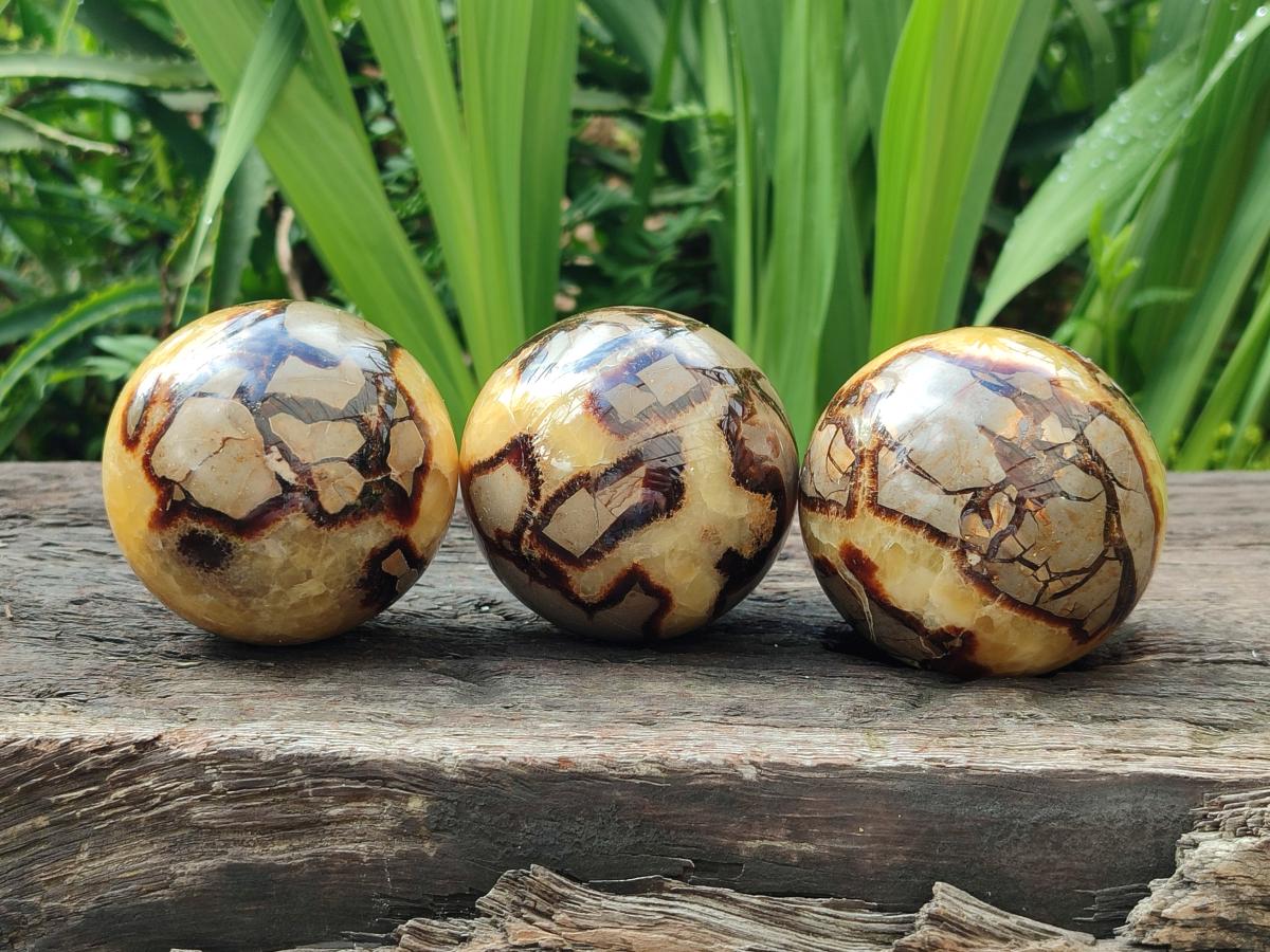 Polished Septerye Spheres x 4 From Mahajanga, Madagascar