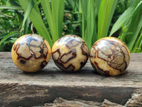 Polished Septerye Spheres x 4 From Mahajanga, Madagascar