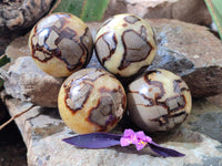 Polished Septerye Spheres x 4 From Mahajanga, Madagascar