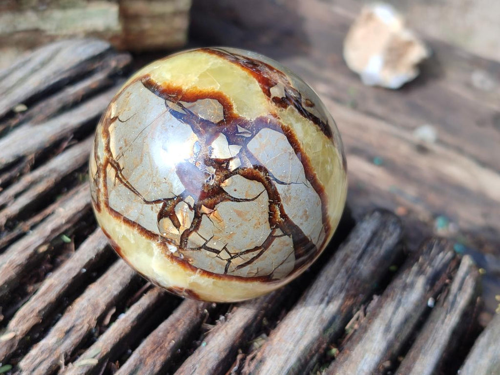 Polished Septerye Spheres x 4 From Mahajanga, Madagascar