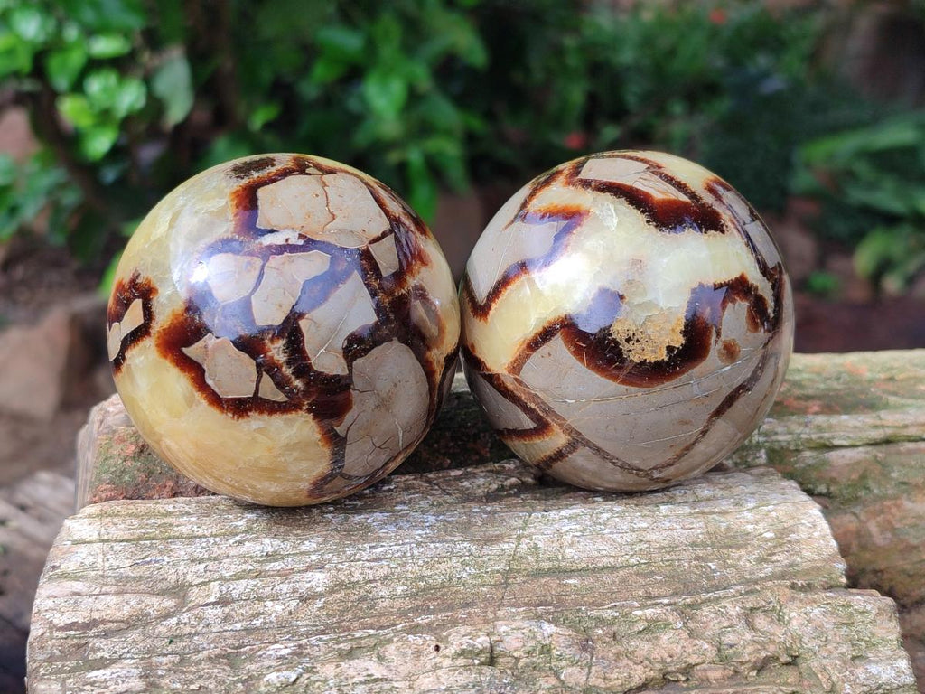 Polished Septerye Spheres x 4 From Mahajanga, Madagascar