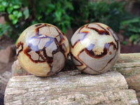 Polished Septerye Spheres x 4 From Mahajanga, Madagascar