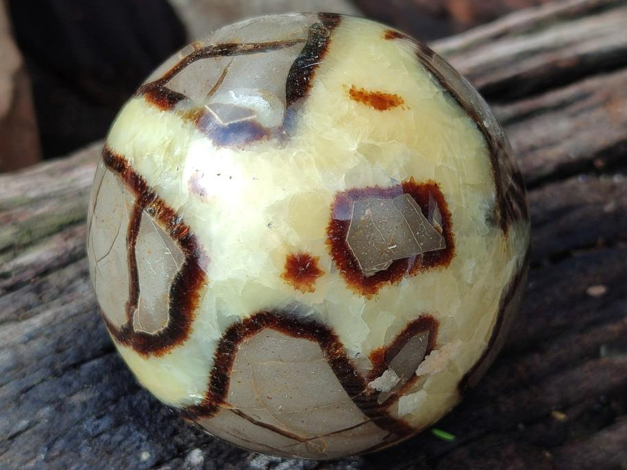 Polished Septerye Spheres x 4 From Mahajanga, Madagascar