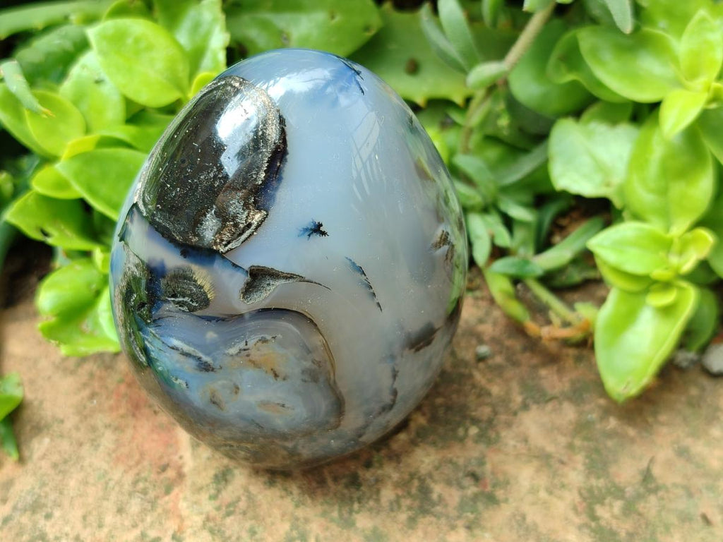 Polished Dendritic Agate Standing Free Forms x 6 From Moralambo, Madagascar