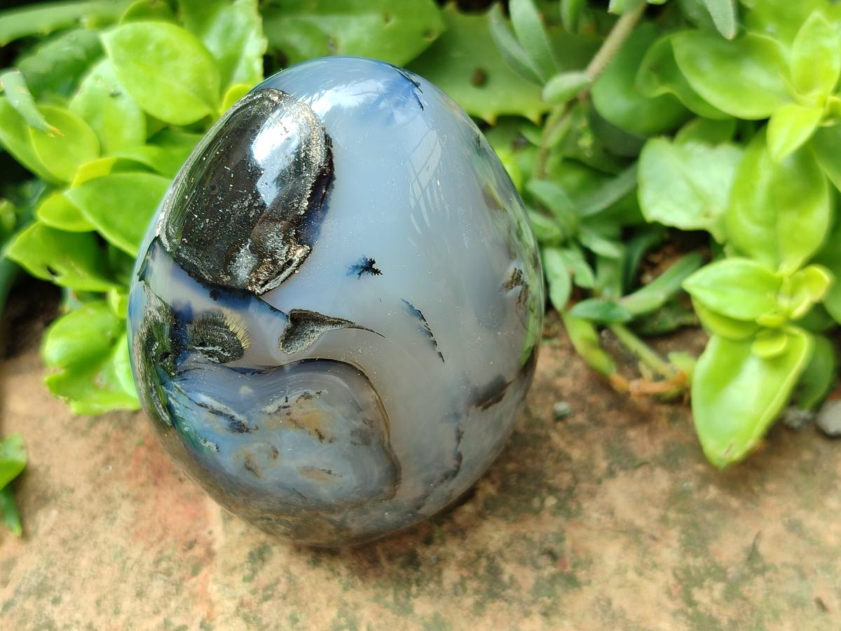 Polished Dendritic Agate Standing Free Forms x 6 From Moralambo, Madagascar