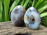 Polished Dendritic Agate Standing Free Forms x 6 From Moralambo, Madagascar