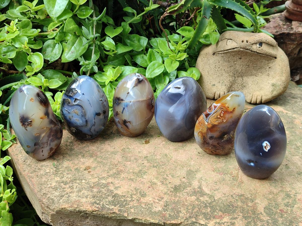 Polished Dendritic Agate Standing Free Forms x 6 From Moralambo, Madagascar