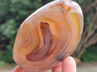 Polished Dendritic Agate Standing Free Forms x 6 From Moralambo, Madagascar