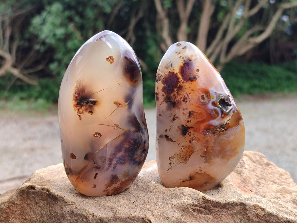 Polished Dendritic Agate Standing Free Forms x 6 From Moralambo, Madagascar