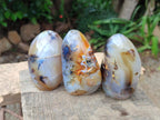 Polished Dendritic Agate Standing Free Forms x 6 From Moralambo, Madagascar