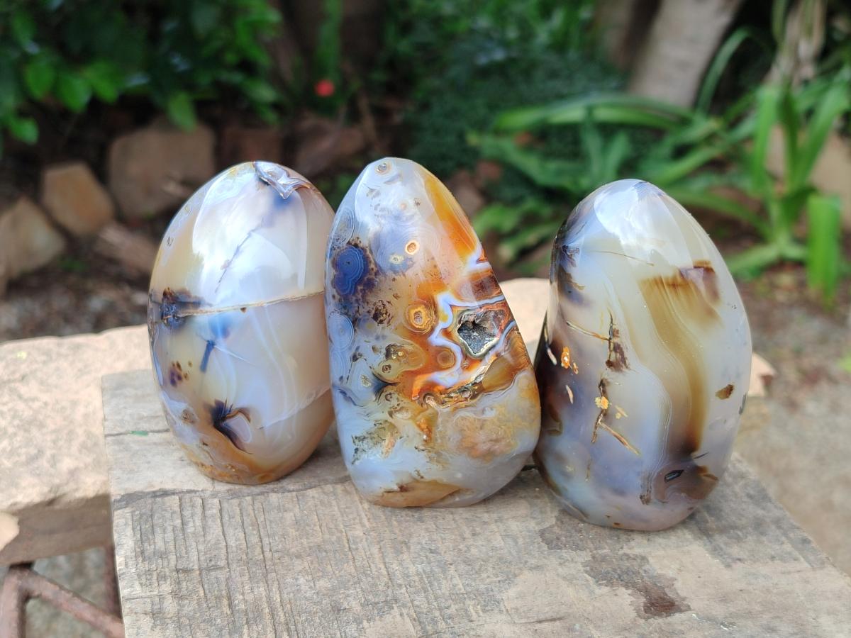Polished Dendritic Agate Standing Free Forms x 6 From Moralambo, Madagascar