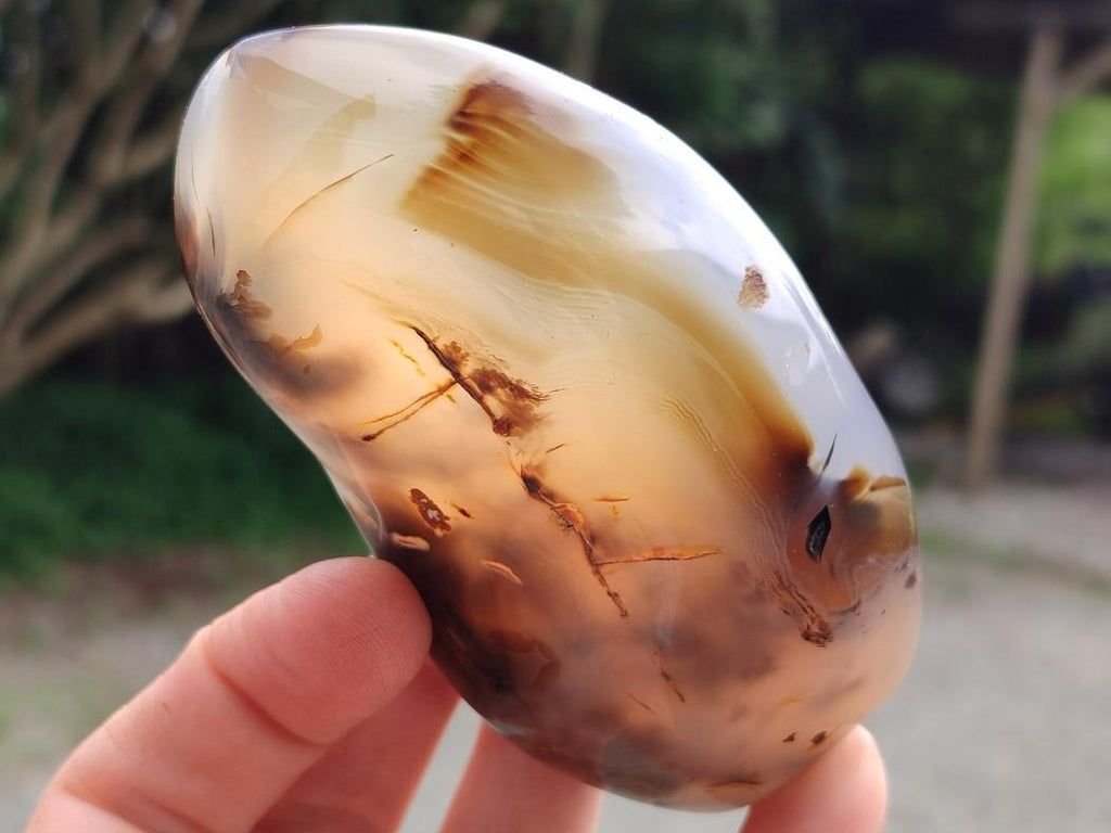 Polished Dendritic Agate Standing Free Forms x 6 From Moralambo, Madagascar