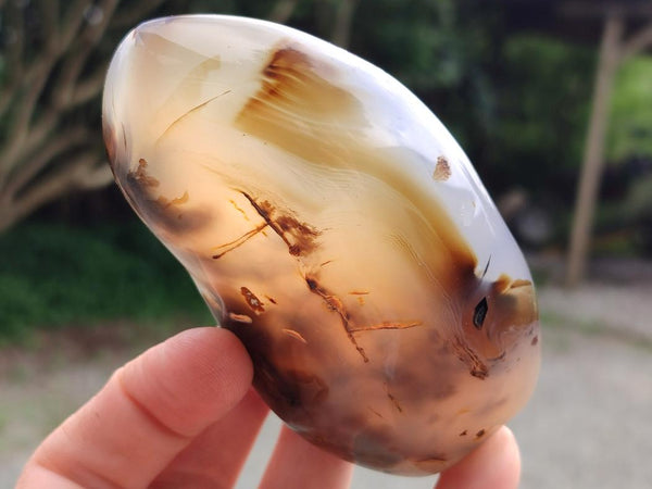 Polished Dendritic Agate Standing Free Forms x 6 From Moralambo, Madagascar