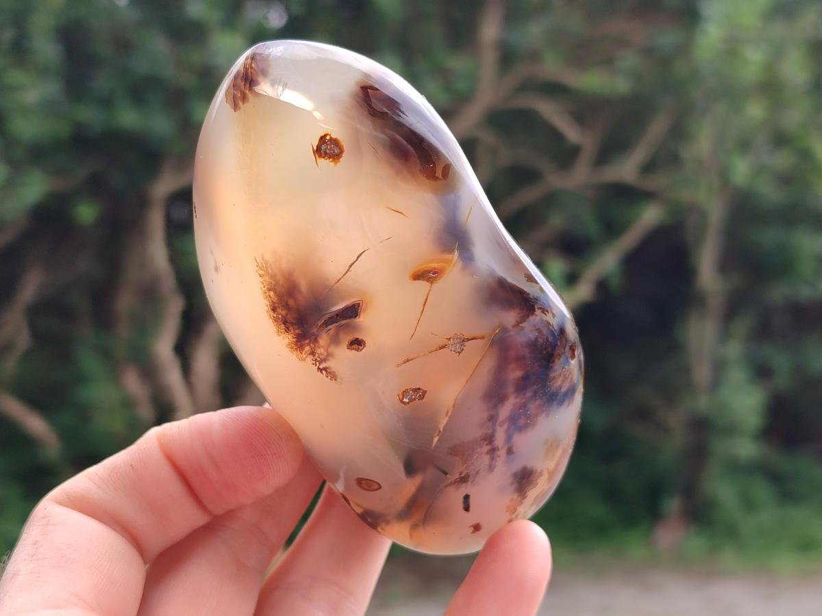 Polished Dendritic Agate Standing Free Forms x 6 From Moralambo, Madagascar