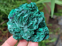 Natural Silky Malachite Specimens x 6 From Kasompe, Congo