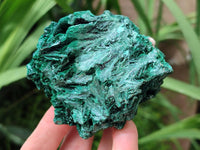 Natural Silky Malachite Specimens x 6 From Kasompe, Congo