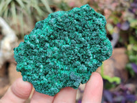 Natural Silky Malachite Specimens x 6 From Kasompe, Congo