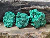 Natural Silky Malachite Specimens x 6 From Kasompe, Congo