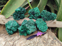 Natural Silky Malachite Specimens x 6 From Kasompe, Congo