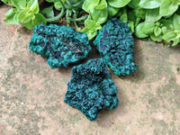 Natural Silky Malachite Specimens x 6 From Kasompe, Congo