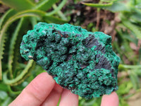 Natural Silky Malachite Specimens x 6 From Kasompe, Congo