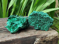Natural Silky Malachite Specimens x 6 From Kasompe, Congo