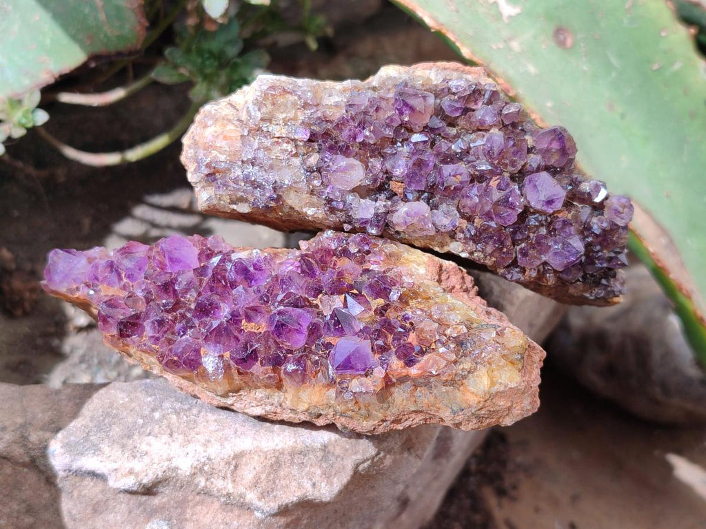 Natural Dark Purple Spirit Quartz Crystal Plates x 7 From Boekenhouthoek, South Africa