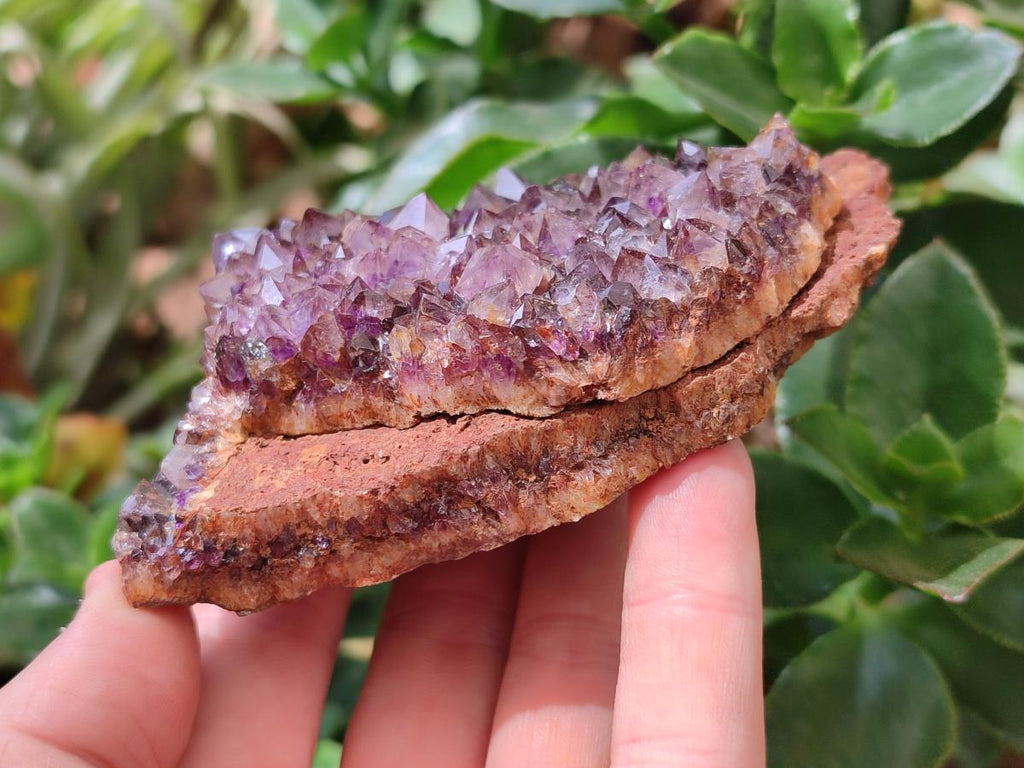 Natural Dark Purple Spirit Quartz Crystal Plates x 7 From Boekenhouthoek, South Africa