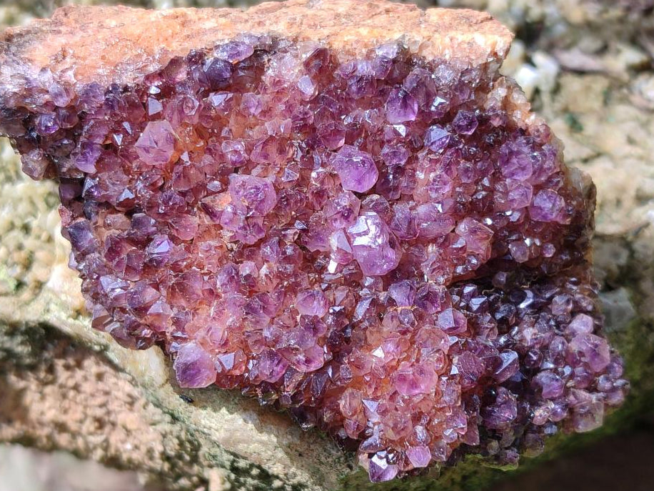 Natural Dark Purple Spirit Quartz Crystal Plates x 7 From Boekenhouthoek, South Africa