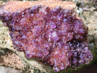 Natural Dark Purple Spirit Quartz Crystal Plates x 7 From Boekenhouthoek, South Africa