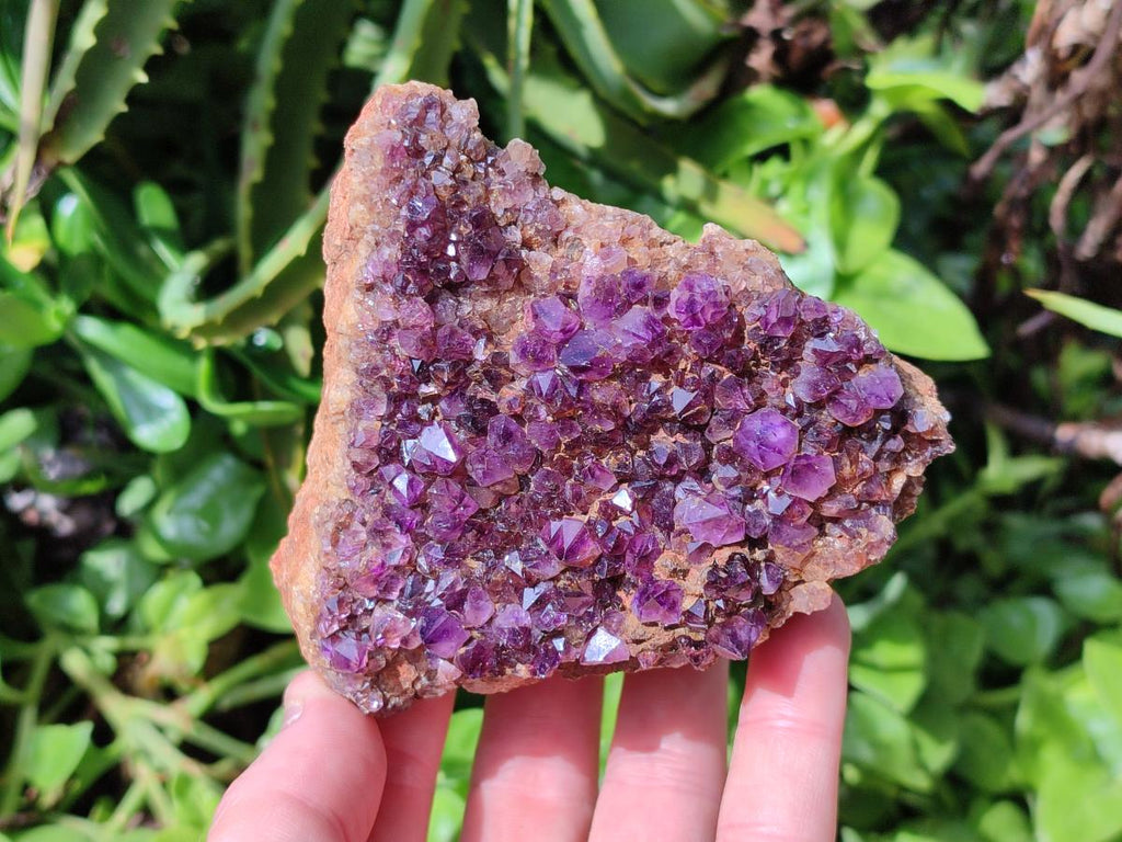 Natural Dark Purple Spirit Quartz Crystal Plates x 7 From Boekenhouthoek, South Africa