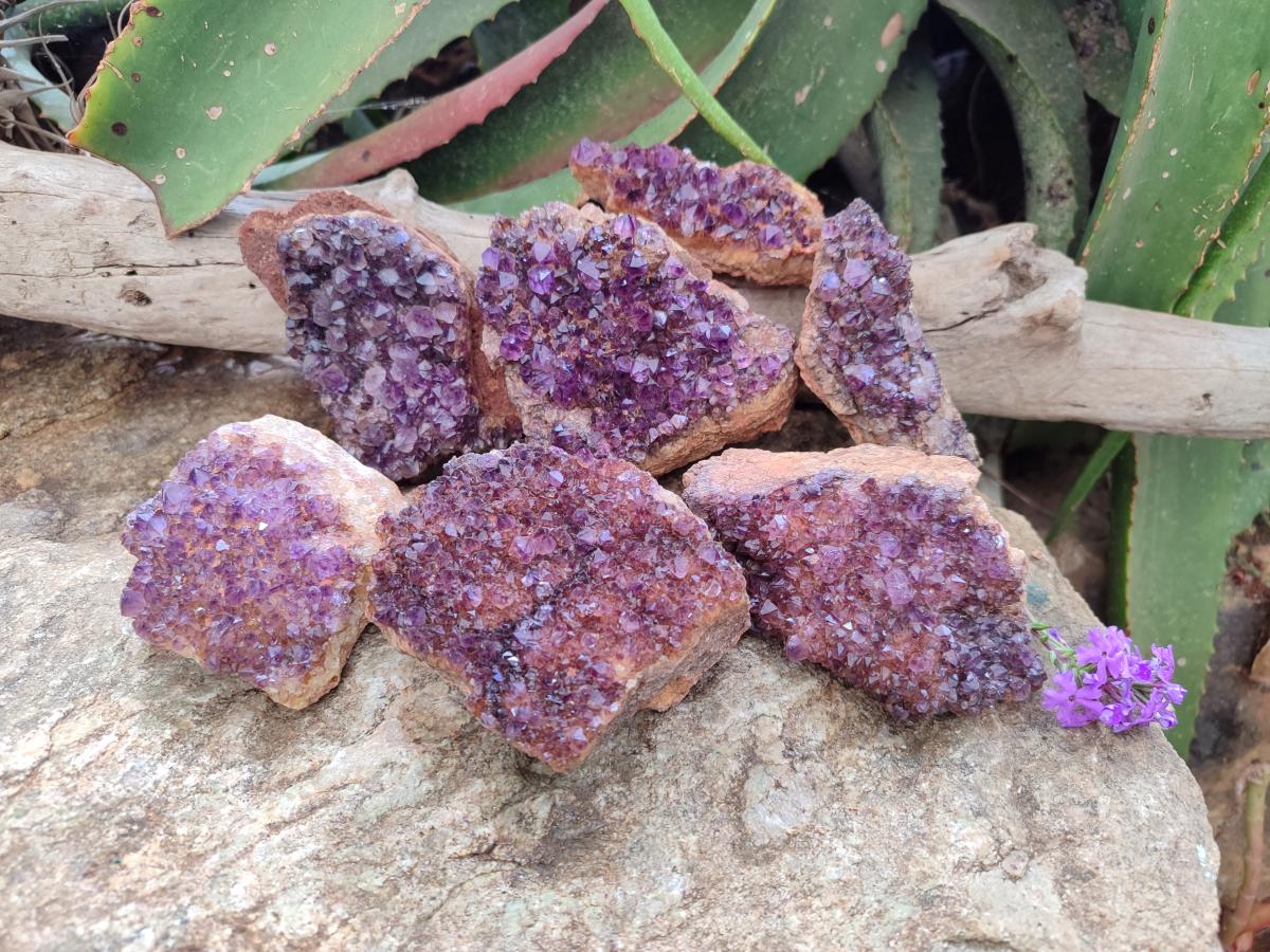 Natural Dark Purple Spirit Quartz Crystal Plates x 7 From Boekenhouthoek, South Africa