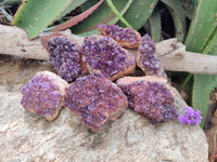 Natural Dark Purple Spirit Quartz Crystal Plates x 7 From Boekenhouthoek, South Africa