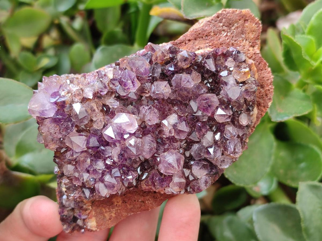 Natural Dark Purple Spirit Quartz Crystal Plates x 7 From Boekenhouthoek, South Africa