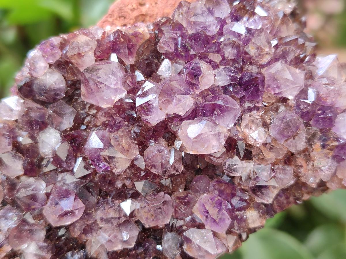 Natural Dark Purple Spirit Quartz Crystal Plates x 7 From Boekenhouthoek, South Africa