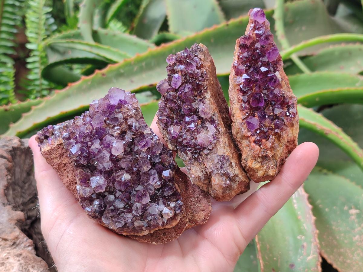 Natural Dark Purple Spirit Quartz Crystal Plates x 7 From Boekenhouthoek, South Africa