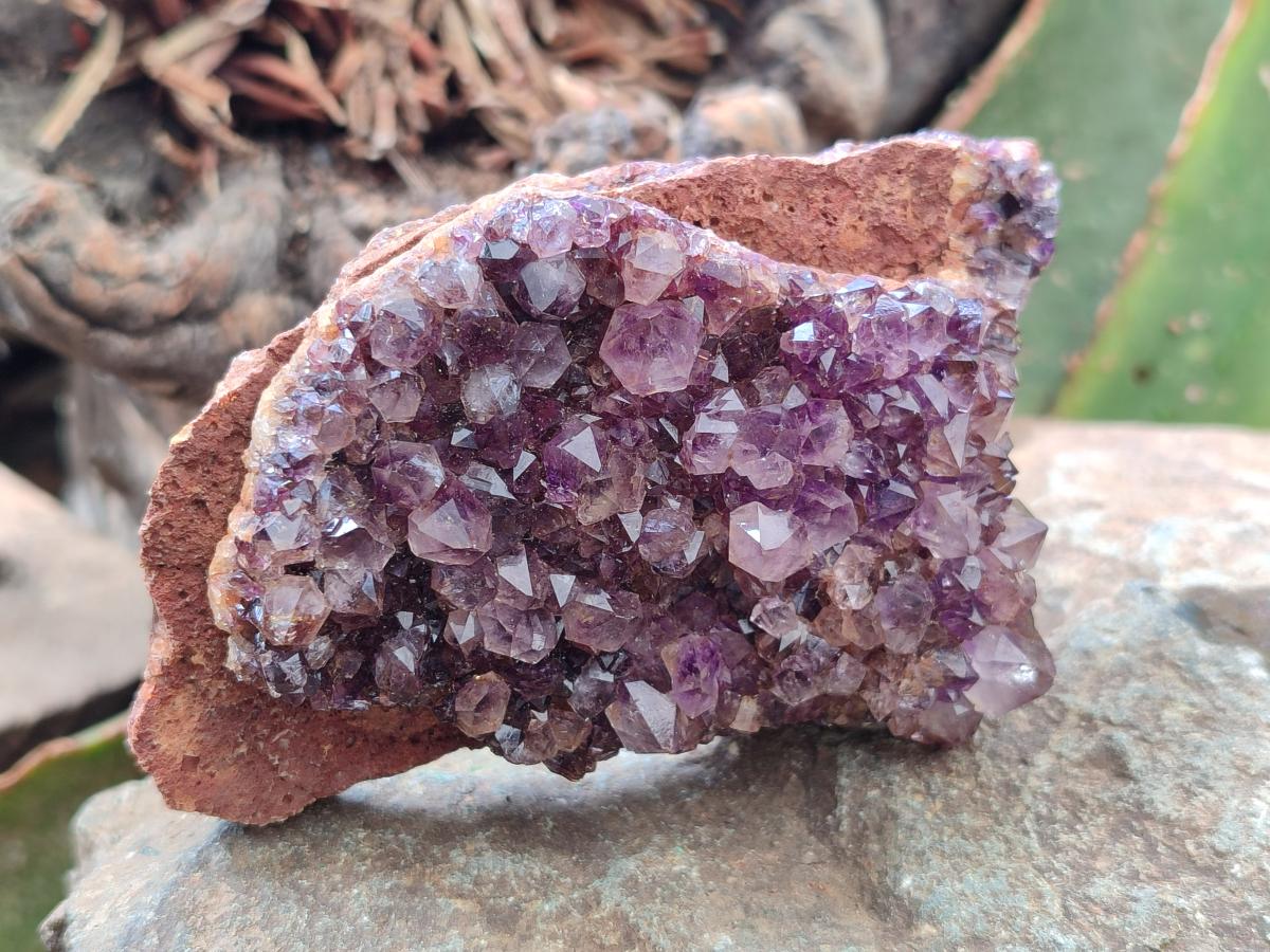Natural Dark Purple Spirit Quartz Crystal Plates x 7 From Boekenhouthoek, South Africa