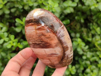 Polished Red Podocarpus Petrified Wood Standing Free Forms x 2 From Mahajanga, Madagascar