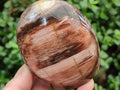 Polished Red Podocarpus Petrified Wood Standing Free Forms x 2 From Mahajanga, Madagascar