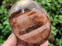 Polished Red Podocarpus Petrified Wood Standing Free Forms x 2 From Mahajanga, Madagascar