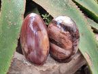 Polished Red Podocarpus Petrified Wood Standing Free Forms x 2 From Mahajanga, Madagascar