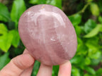 Polished Rose Quartz Standing Free Forms x 4 From Madagascar