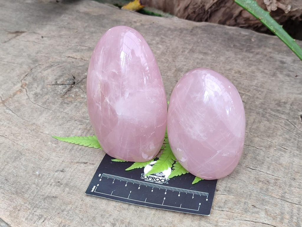 Polished Rose Quartz Standing Free Forms x 4 From Madagascar