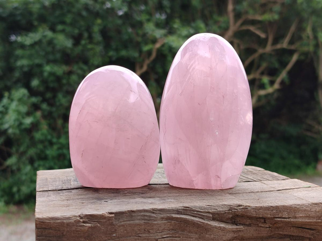 Polished Rose Quartz Standing Free Forms x 4 From Madagascar