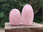 Polished Rose Quartz Standing Free Forms x 4 From Madagascar