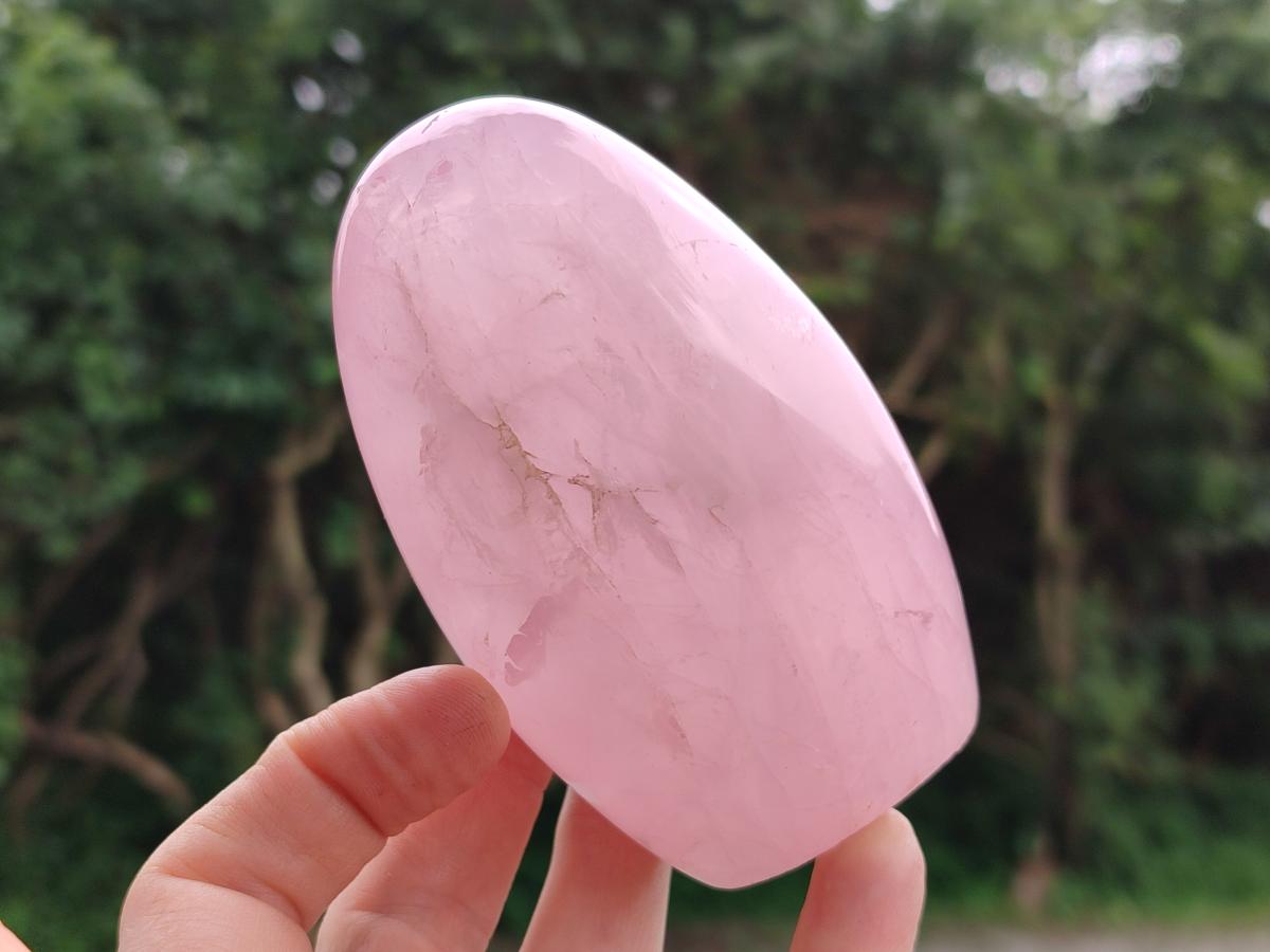 Polished Rose Quartz Standing Free Forms x 4 From Madagascar