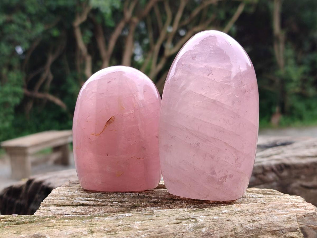Polished Rose Quartz Standing Free Forms x 4 From Madagascar