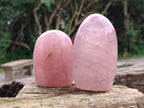 Polished Rose Quartz Standing Free Forms x 4 From Madagascar