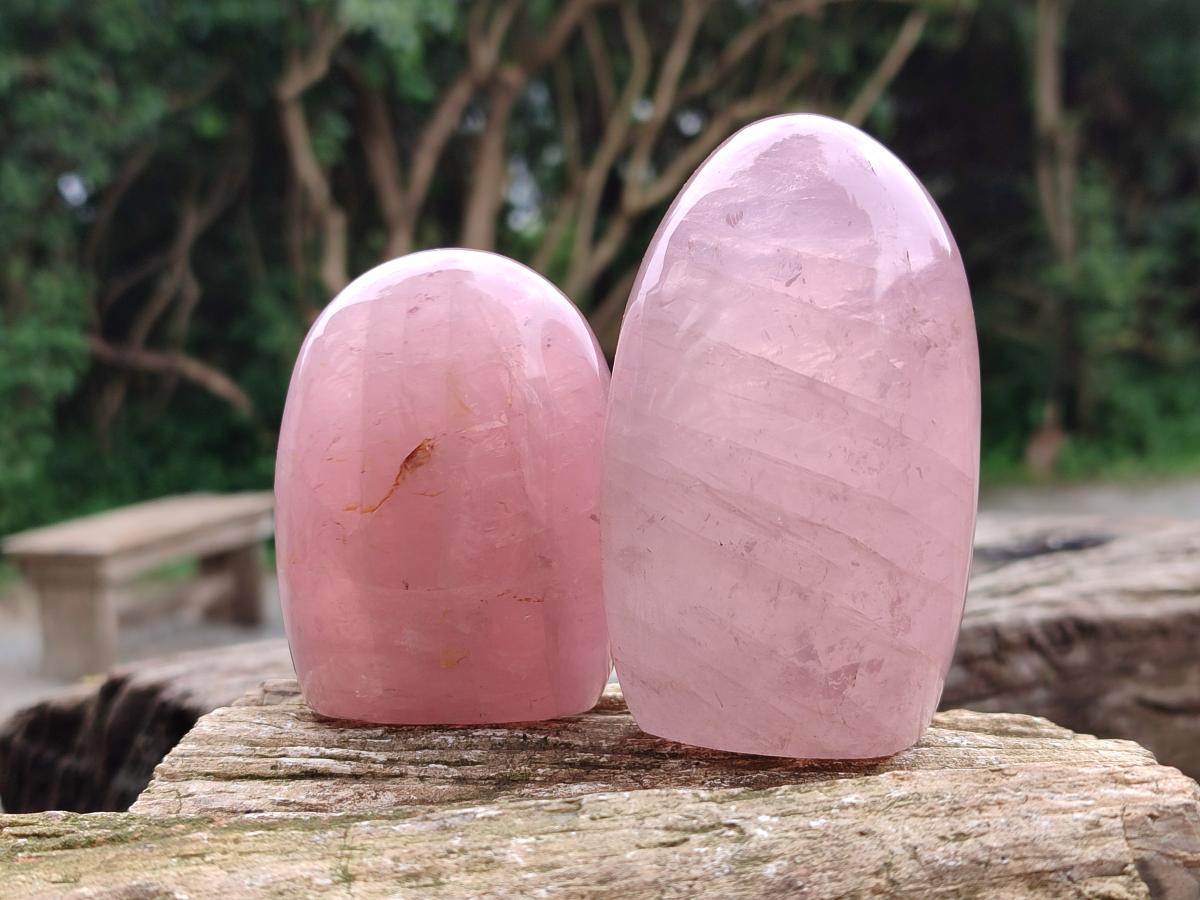 Polished Rose Quartz Standing Free Forms x 4 From Madagascar